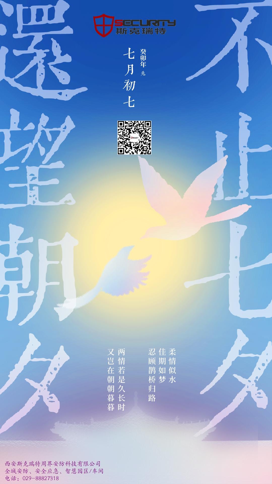 不止七夕，還望朝夕
